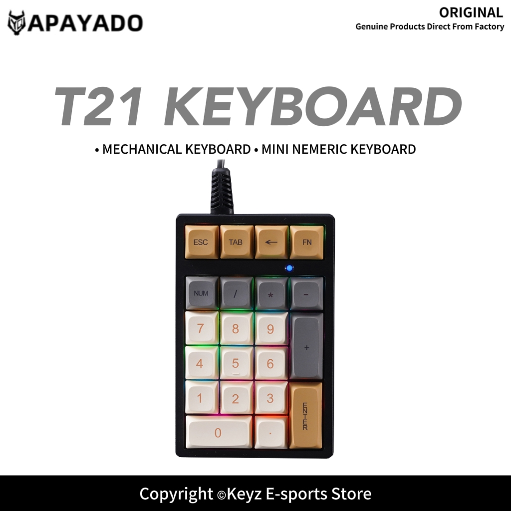 Keyboard Numpad Separate - T21 แป้นพิมพ์ตัวเลขขนาดเล็ก RGB แบ็คไลท์ สวิตช์สีน้ำเงิน APAYADO