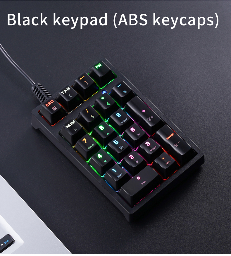 21-Key Mini Wired Keypad RGB B - Keyboard Numpad Separate บทวิจารณ์และราคา